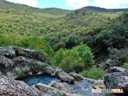 Top Puebla de Don Rodrigo