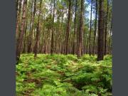 Top Vieux-Boucau-les-Bains