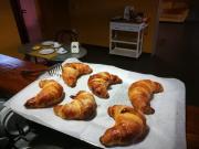 Top Sellia Marina Top Sellia Marina