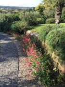 Top Campagnano di Roma