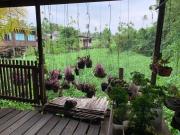 Top Nonthaburi
