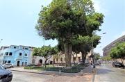 Top Lima