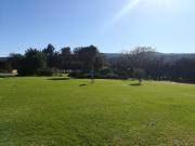 Top Jeffreys Bay