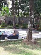 Top Ubud Top Ubud