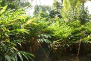 Top Munnar