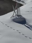 Ferienwohnung Frauenschuh