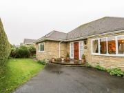 Sanderling Sanderling