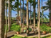 Top Puncak
