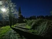 Top Rapale