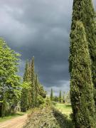 Top Rapale