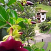 Sitio Da Cachoeirinha Paraju Domingos Martins