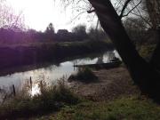 Top Mosonmagyaróvár