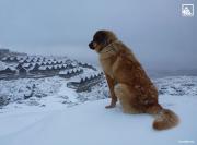 Top Penhas da Saúde Top Penhas da Saúde