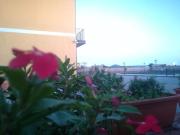 Top San Giovanni la Punta