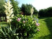 Top Wola Kalinowska Top Wola Kalinowska