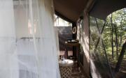 Top Timbavati Game Reserve