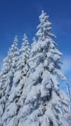 Top Sankt Johann im Pongau