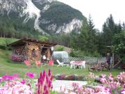 Top San Vito di Cadore