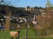 Top Schönecken