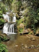Top Neumarkt in Steiermark