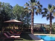 Top Koilás Top Koilás