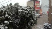 Top Almora