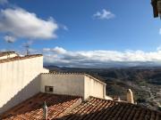 Top Morella