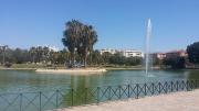 Top Málaga