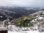 Top Shimla