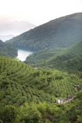 Top Ningbo