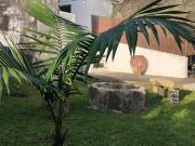Top Ribeira Grande