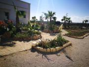 Top Brindisi