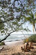 Top Tamarindo