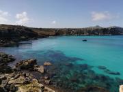 Top Favignana