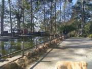 Top Almora