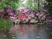 Top Byhleguhre-Byhlen Top Byhleguhre-Byhlen