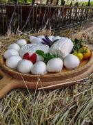 Top Corigliano Calabro