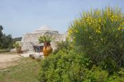 Top Ostuni