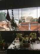 Top Ipoh