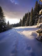 Top Pec pod Sněžkou