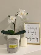 Top Sinaia Top Sinaia