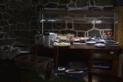 Top Platak