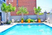 Top Alexandria