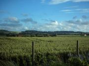 Top Heuvelland Top Heuvelland