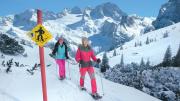 Top Gosau