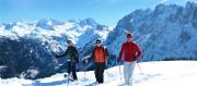 Top Gosau