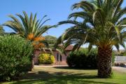 Top Saint-Cyprien