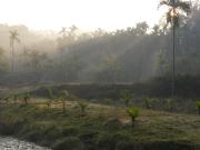 Top Siddapur