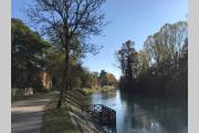 Top Treviso