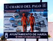 Top Charco del Palo